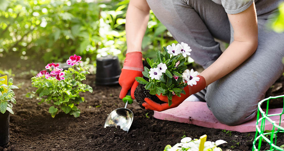 Woman gardening